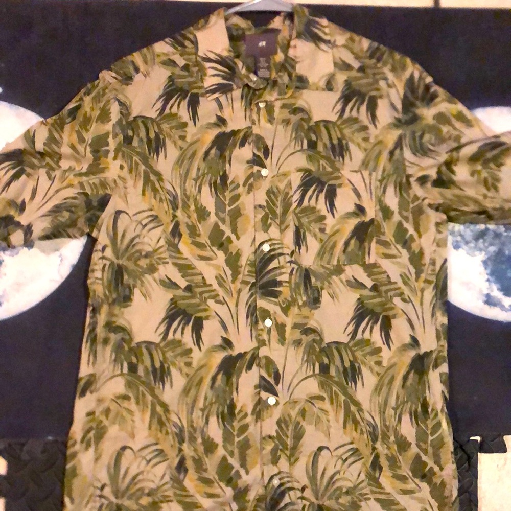 Hawaiian Palm Trees